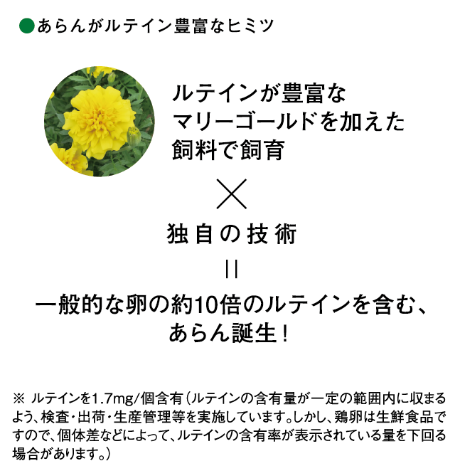 あらんがルテイン豊富なヒミツ　ルテインが豊富なマリーゴールドを加えた飼料で飼育×独自の技術＝一般的な卵の10倍のルテインを含む、あらん誕生！ ※ ルテインを1.7mg/個含有（ルテインの含有量が一定の範囲内に収まるよう、検査・出荷・生産管理等を実施しています。しかし、鶏卵は生鮮食品ですので、個体差などによって、ルテインの含有率が表示されている量を下回る場合があります。）